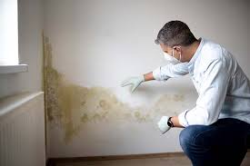 Mold Remediation for Vacation Homes in Wellsboro, PA